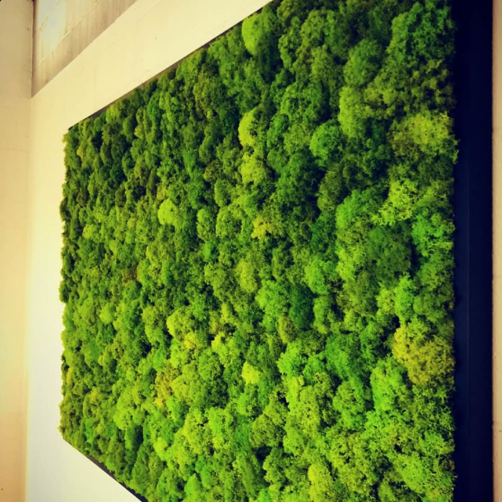 Moss Painting Kansas City Greencleandesigns.com