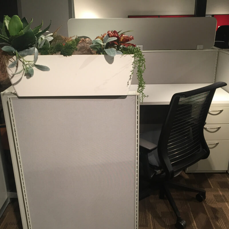 https://www.greencleandesigns.com/wp-content/uploads/2018/08/office-cubicle-planter-greencleandesigns.com_.jpg