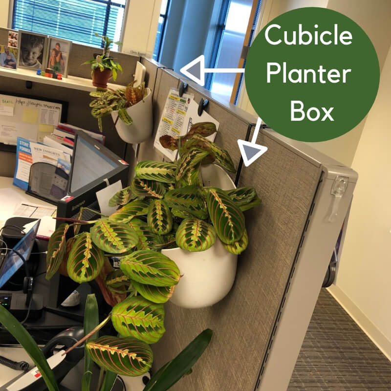 Cubicle Accessories  Cubicle Planter Partition